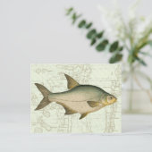 Postale Poisson d'eau douce sur la carte (Debout devant)