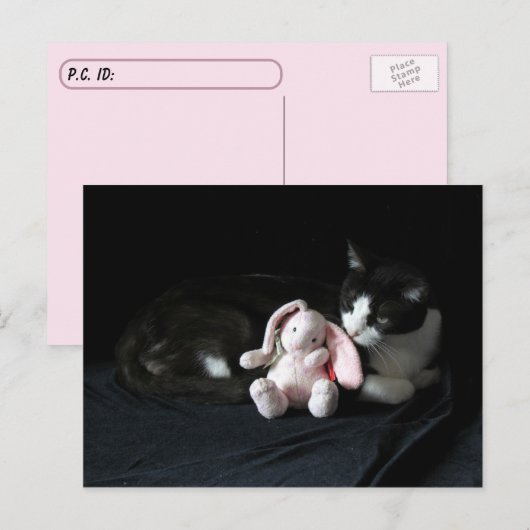 Postale Post-croisement Certains Lapin M'Aime - Carte Post (Devant / Derrière)