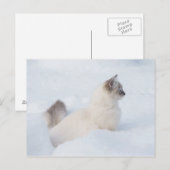 Postale Poupée dans la carte de poste de neige (Devant / Derrière)