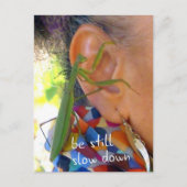 Postale Prier Mantis - être tranquille, ralentir - carte p (Devant)