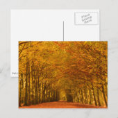 Postale Promenade à travers la forêt en automne carte post (Devant / Derrière)
