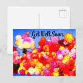 Postale Prompt rétablissement Diverses Dahlias #2-2 Carte (Devant / Derrière)