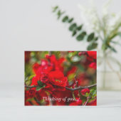 Postale Quince Branch Painterly Penser De Vous Carte Posta (Debout devant)