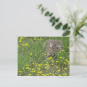 Postale Rabbit en Fleur sauvage do-it-yourself carte posta (Debout devant)