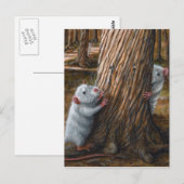 Postale Rats par vieux arbre cache et chercher carte posta (Devant / Derrière)