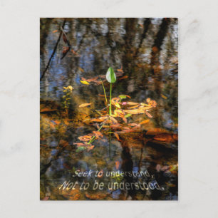 Postale Recherche à comprendre, pour ne pas être carte