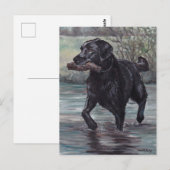 Postale Récupérer Black Labrador Retriever Dog Art carte p (Devant / Derrière)