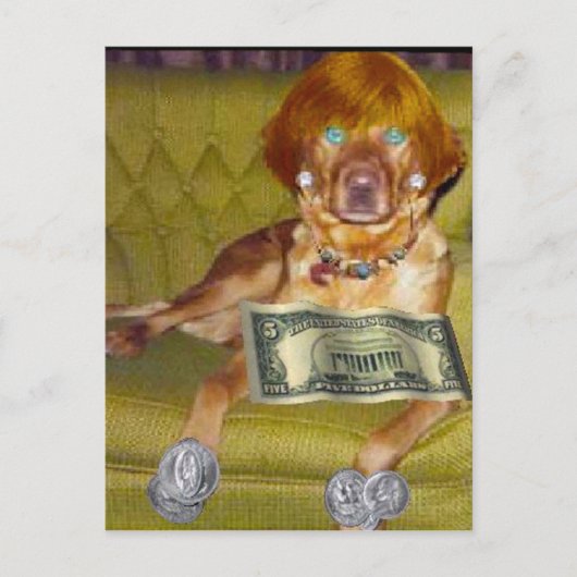 POSTALE REGARDEZ CE QUE JE FAIS POUR L'ARGENT CARTE POSTAL (Devant)