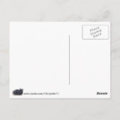 Postale Repose Tortoise Shell Peinture Chat Bonjour Carte  (Dos)