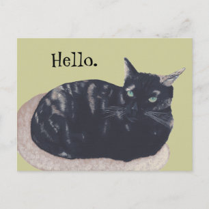 Postale Repose Tortoise Shell Peinture Chat Bonjour Carte