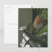 Postale Robin sur le vélo fermer do-it-yourself carte post (Devant / Derrière)