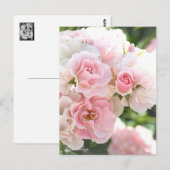 Postale Rosa Cerezo : Carte Postale_ver.2.0 (Devant / Derrière)