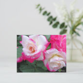 Postale Rosa Destiny ［ carte postale] (Debout devant)