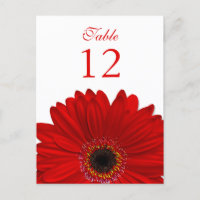 Rouge Gerbera Daisy Tableau Numéro Carte Plat