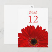 Postale Rouge Gerbera Daisy Tableau Numéro Carte Plat (Devant / Derrière)