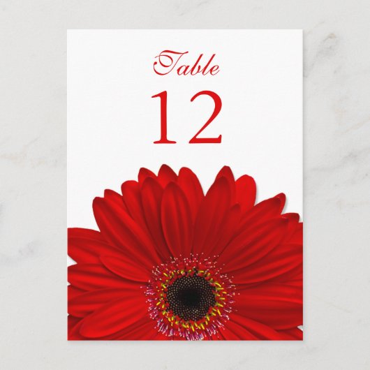 Postale Rouge Gerbera Daisy Tableau Numéro Carte Plat (Devant)