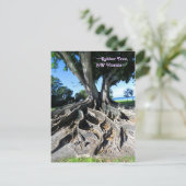 Postale Rubber tree Racines Courbées Fort Myers Carte post (Debout devant)