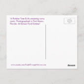 Postale Rubber tree Racines Courbées Fort Myers Carte post (Dos)