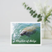 Postale Rythme de Belize Manatee dans la carte blanche de  (Debout devant)