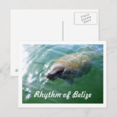Postale Rythme de Belize Manatee dans la carte blanche de  (Devant / Derrière)