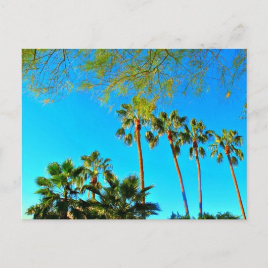 Postale Salutations d'Arizona ! Carte postale. (Devant)