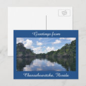 Postale Salutations de Chassahowitzka Florida carte postal (Devant / Derrière)