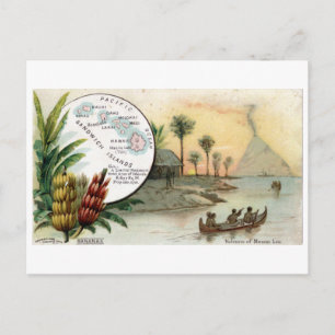 Postale Sandwich Islands, 1889 carte vintage