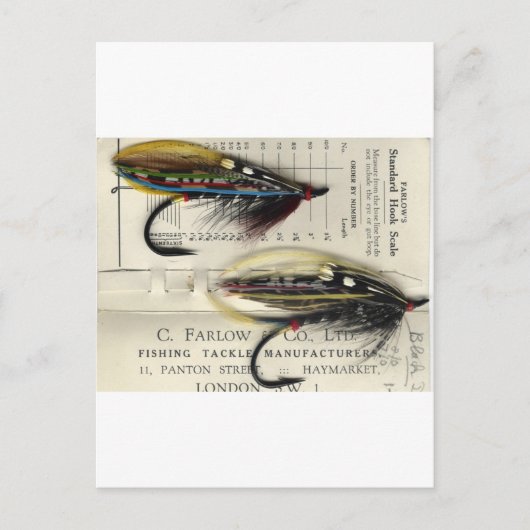 Postale Saumon classique Voler sur carte (Devant)