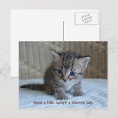 Postale Sauver une vie, adopter un chat secouru. carte pos (Devant / Derrière)