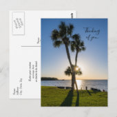 Postale Silhouette Ciseau Palm Tree Penser Votre Carte Pos (Devant / Derrière)