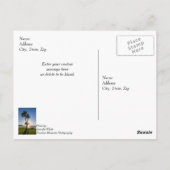 Postale Silhouette Ciseau Palm Tree Penser Votre Carte Pos (Dos)