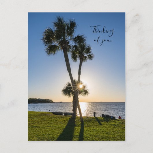 Postale Silhouette Ciseau Palm Tree Penser Votre Carte Pos (Devant)