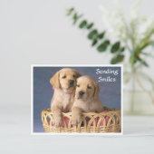 Postale Sourires Bonjour Labrador Retriever Puppet carte p (Debout devant)
