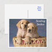 Postale Sourires Bonjour Labrador Retriever Puppet carte p (Devant / Derrière)