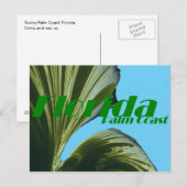 Postale Sous La Carte Post Palm Tree (Devant / Derrière)