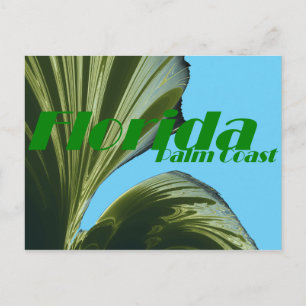 Postale Sous La Carte Post Palm Tree