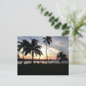 Postale South Beach, Miami Palm Trees à Sunset Carte posta (Debout devant)