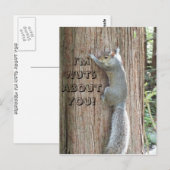 Postale Squirrel : Je suis Noix à ton sujet ! Carte postal (Devant / Derrière)