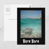 Postale Stingray sous l'eau à Bora Bora carte noire (Devant / Derrière)