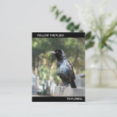Postale Suivez la carte Flock Post en Floride (Debout devant)