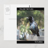 Postale Suivez la carte Flock Post en Floride (Devant / Derrière)