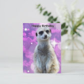 Postale Suricate avec éclat, Carte d'anniversaire (Debout devant)