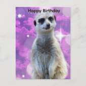 Postale Suricate avec éclat, Carte d'anniversaire (Devant)