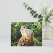 Postale Suricate avec vues imprenables, carte de vœux d'an (Debout devant)