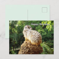 Suricate avec vues imprenables, carte de vœux d'an