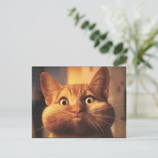 Postale Surprised Cat carte postale. (Debout devant)
