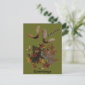 Postale Sycamore Maple Feuilles Collage AUTUMN Carte posta (Debout devant)