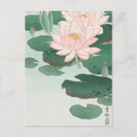 Tableau de la Lys d'eau par Ohara Koson Carte Post