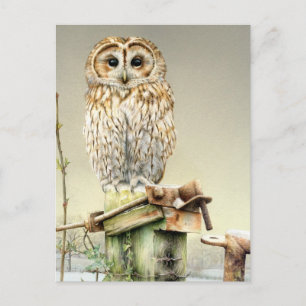 Postale Tawny Owl dans l'aquarelle fine art neige carte po