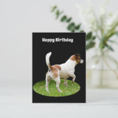 Postale Terrier Fox en service de garde, Carte d'anniversa (Debout devant)
